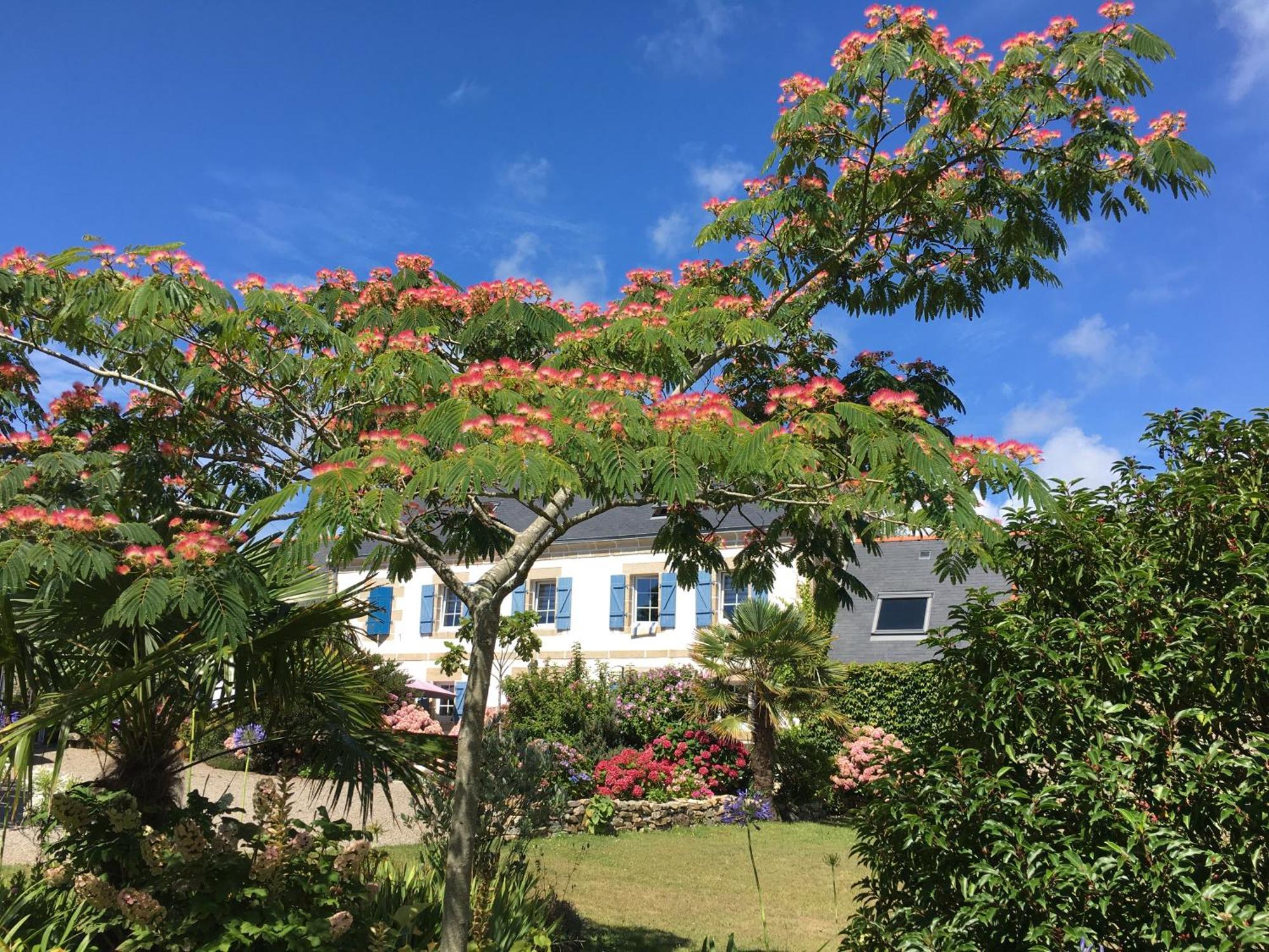 Bed and Breakfast La Ferme De Kerivoas Audierne Exterior foto